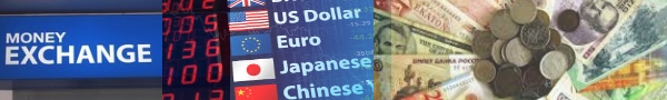 Currency Exchange Rate From New Zealand Dollar to Dollar - The Money Used in United States